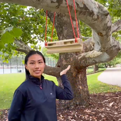 climbing hangboard